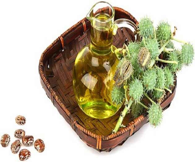 خواص کرچک برای یبوست + پوست تا دیابت خواص کرچک برای یبوست + پوست تا دیابت