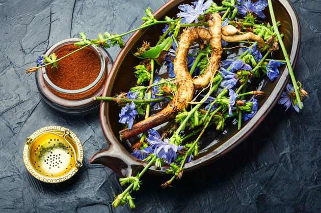 خواص کاسنی برای کبد چرب و سرطان خواص کاسنی برای کبد چرب و سرطان