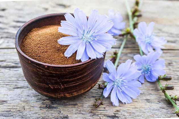 خواص کاسنی برای کبد چرب + سرطان تا دیابت خواص کاسنی برای کبد چرب + سرطان تا دیابت