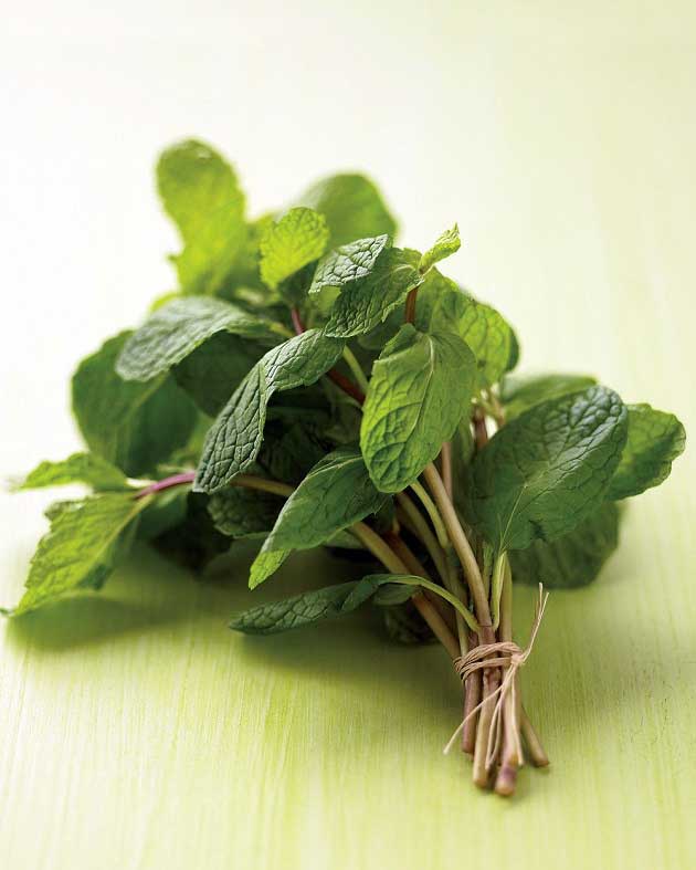 خواص نعناع برای بیماری پوستی و مغز واعصاب