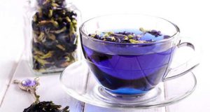 خواص گل گاو زبان