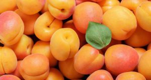تعبیر خواب خوردن زردآلو + چیدن از درخت برای دختر مجرد