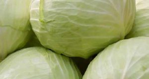 تعبیر خواب کلم ابن سیرین و امام صادق و کلم سفید و سنگی و قمری از حضرت یوسف