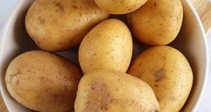 تعبیر خواب سیب زمینی خام ابن سیرین و امام صادق و آب پز شده از حضرت یوسف