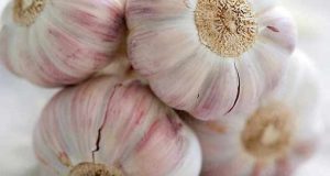 تعبیر خواب سیر از ابن سیرین و امام صادق و در خواب زن از حضرت یوسف