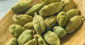 تعبیر خواب هل ابن سیرین و امام صادق و منوچهر مطیعی برای دختر مجرد
