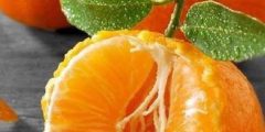 تعبیر خواب نارنگی ابن سیرین و حضرت یوسف و ترش و شیرین از امام صادق