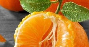تعبیر خواب نارنگی ابن سیرین و حضرت یوسف و ترش و شیرین از امام صادق