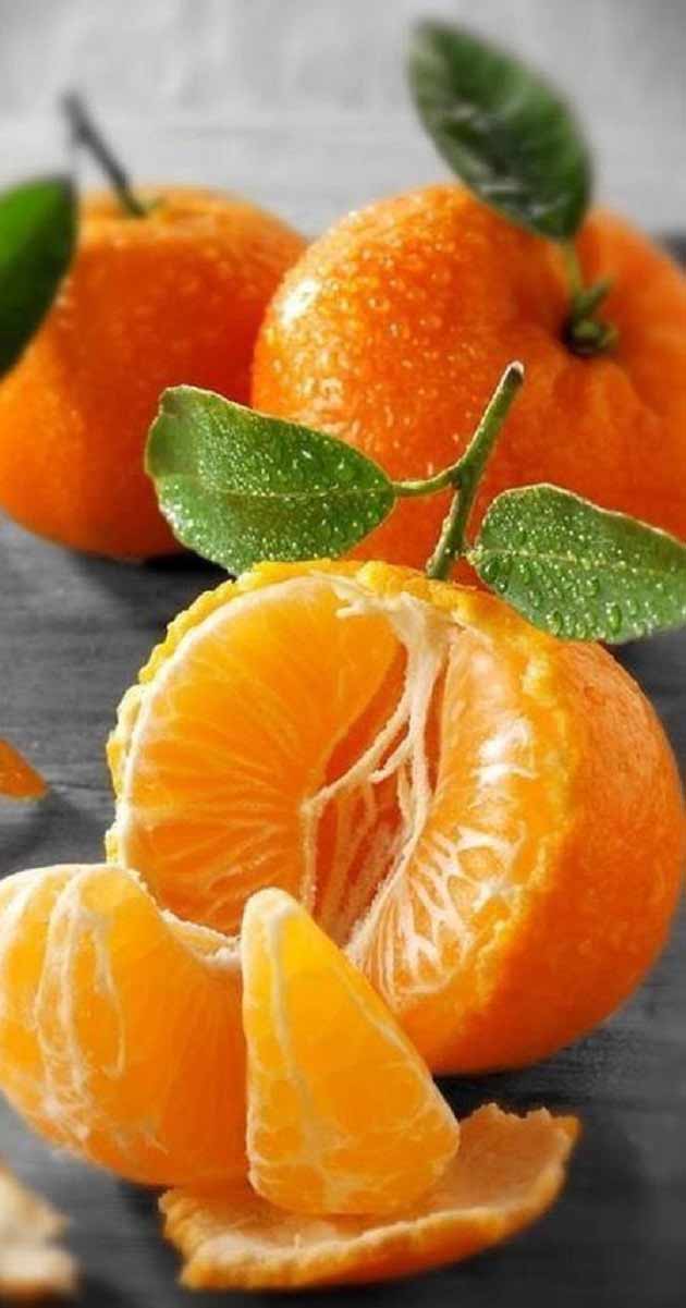تعبیر خواب نارنگی ابن سیرین و حضرت یوسف و ترش و شیرین از امام صادق تعبیر خواب نارنگی ابن سیرین و حضرت یوسف و ترش و شیرین از امام صادق