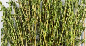 تعبیر خواب آویشن ابن سیرین و چیدن آویشن تازه و خشک برای سرماخوردگی