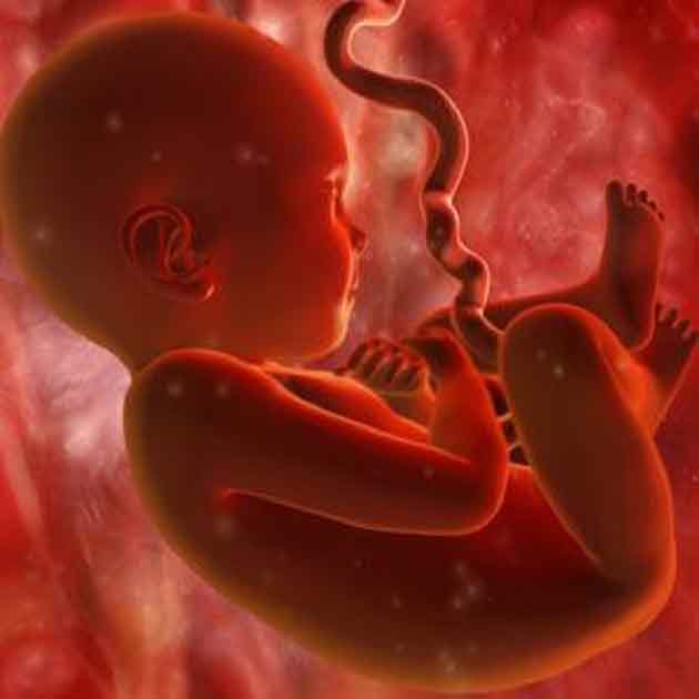 تعبیر خواب سقط جنین ابن سیرین و امام صادق و همراه با خونریزی در دستشویی