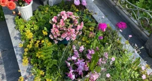 تعبیر خواب گل خریدن برای مرده ابن سیرین + گل بردن سر قبر برای زن و دختر مجرد