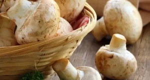تعبیر خواب قارچ امام صادق و یوسف پیامبر + چیدن قارچ سفید برای زن و دختر مجرد
